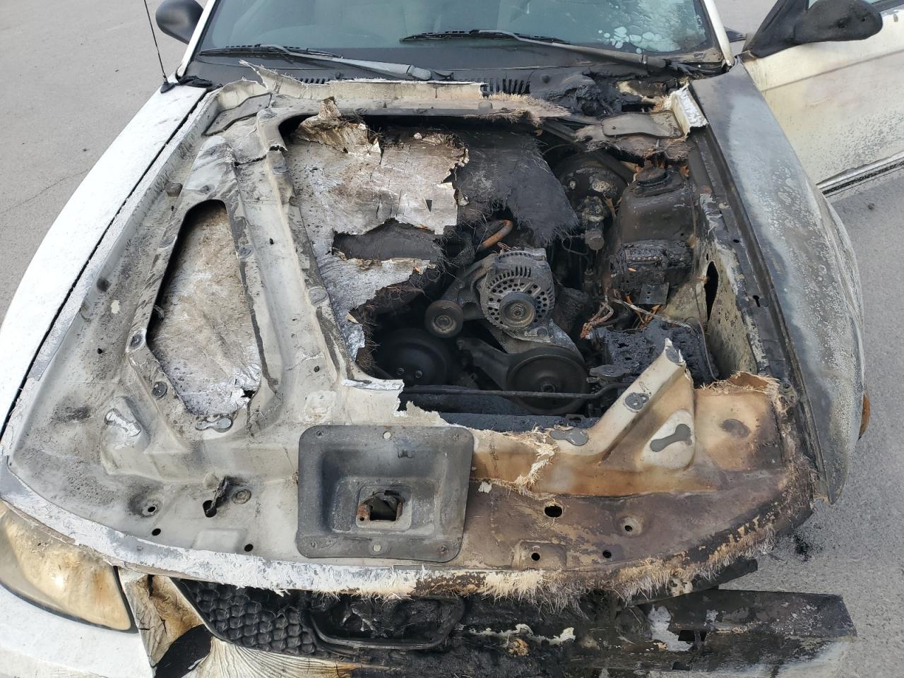 Lot #3308407302 2000 FORD MUSTANG