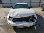 Lot #3294520499 2006 FORD MUSTANG