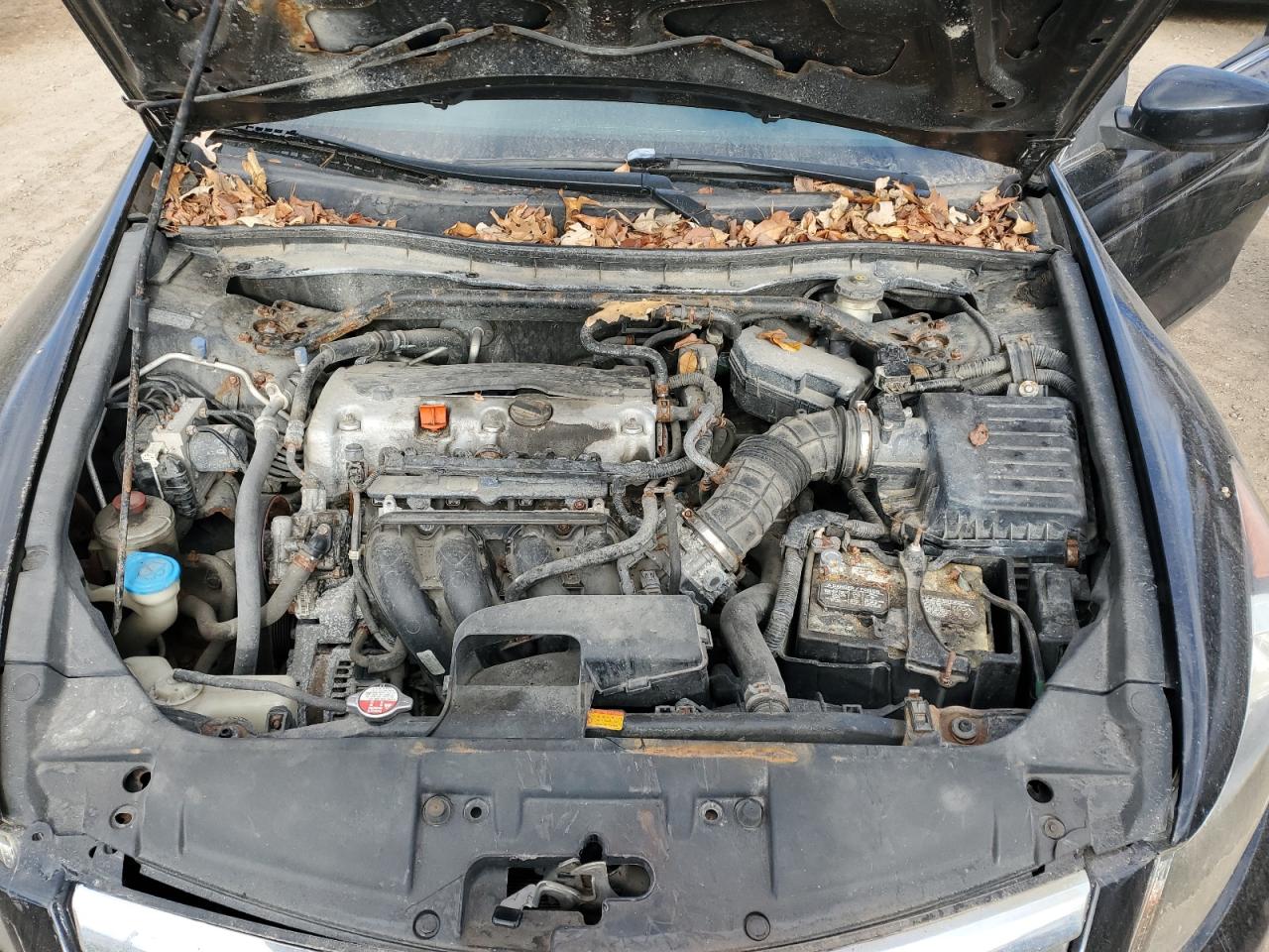 HONDA ACCORD EXL