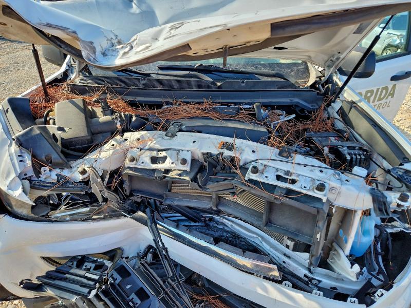 2020 CHEVROLET COLORADO #3309530578