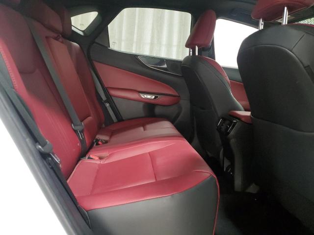 2024 LEXUS NX 350 BAS #3311517250
