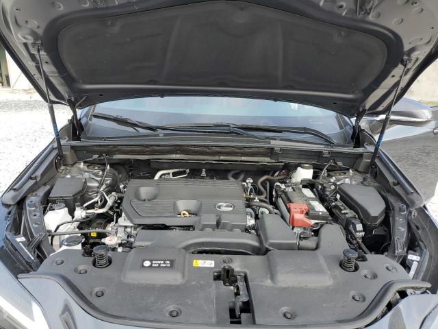 2025 LEXUS NX 250 BAS #3302798942
