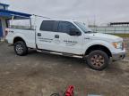 Lot #3303834427 2011 FORD F150 SUPER