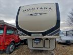Lot #3296963812 2020 MONTANA HIGH COUNT