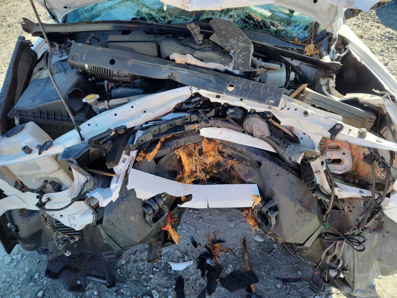 TOYOTA TACOMA DOUBLE CAB