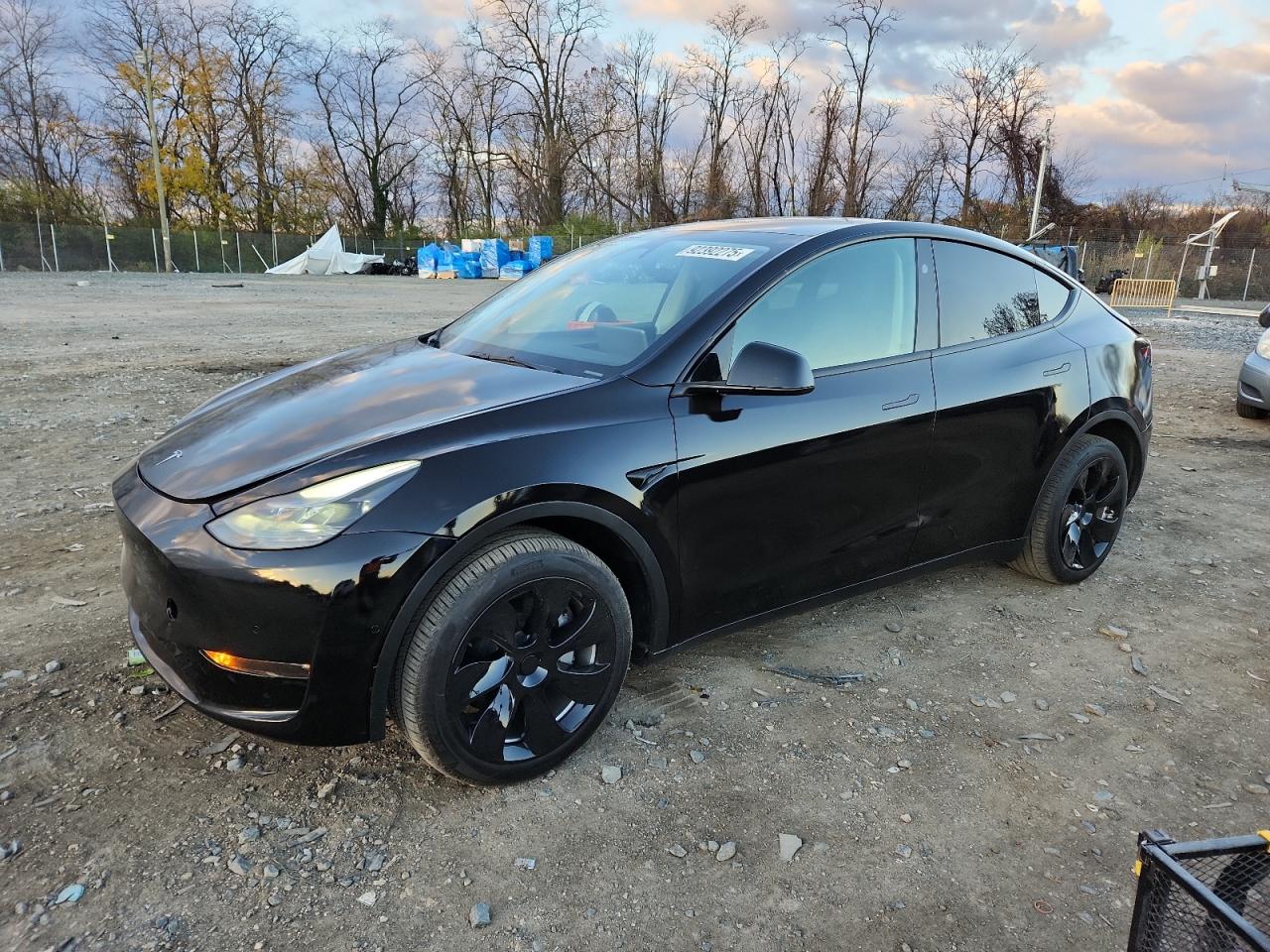 Lot #3294215276 2024 TESLA MODEL Y