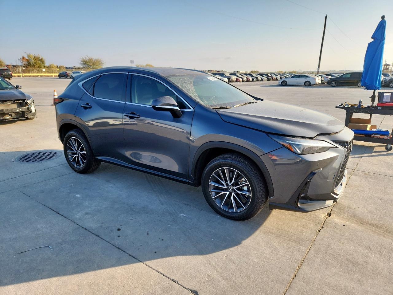 LEXUS NX 350