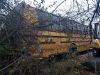 Lot #3294008823 2012 FREIGHTLINER SCHOOL BUS