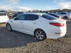 Lot #3301710383 2015 KIA OPTIMA LX