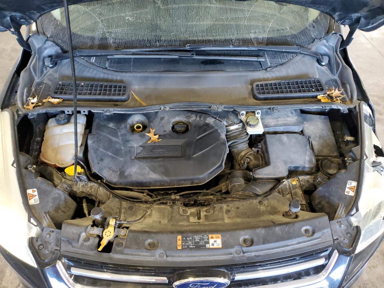 FORD ESCAPE TITANIUM