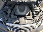 Lot #3304025528 2011 MERCEDES-BENZ E 350