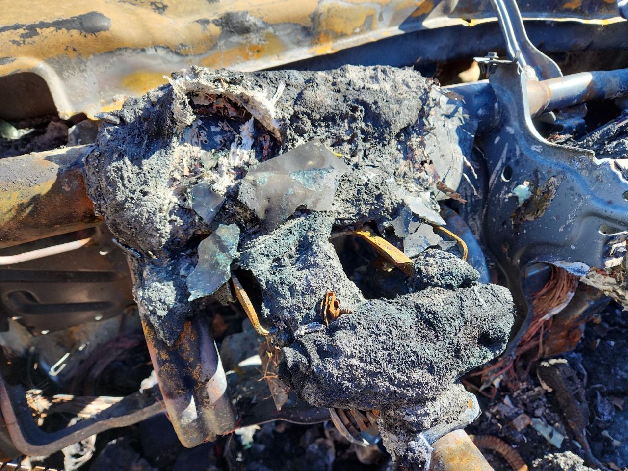 Lot #3290318956 2008 FORD FOCUS SE