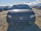 Lot #3300694775 2006 HONDA RIDGELINE