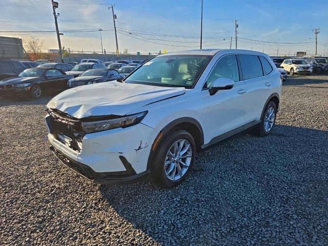 2025 HONDA CR-V EXL #3302697052