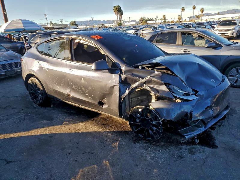 2022 TESLA MODEL Y #3304683918