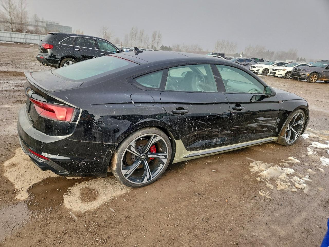 AUDI S5 RS5