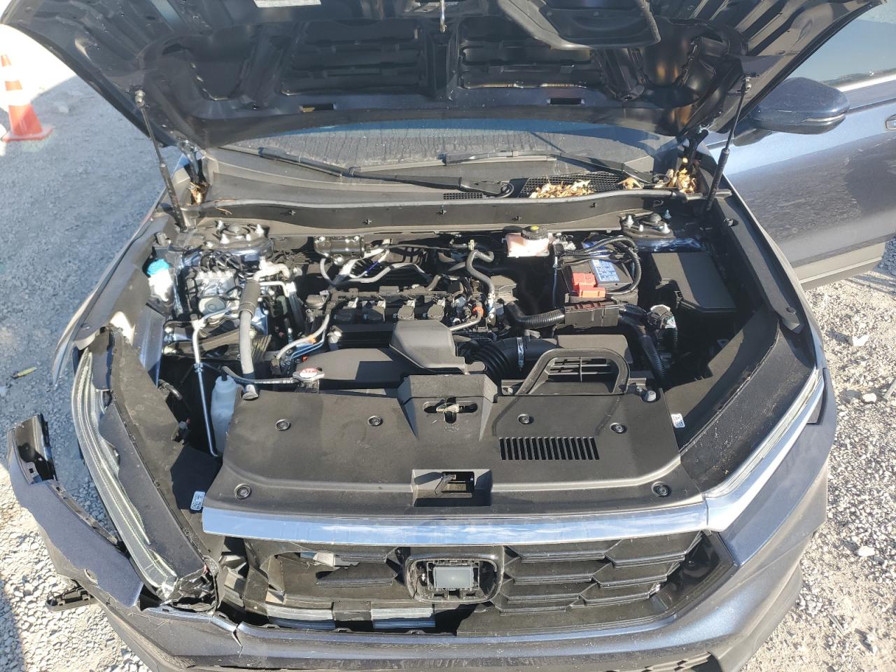 Lot #3316837656 2025 HONDA CR-V EX