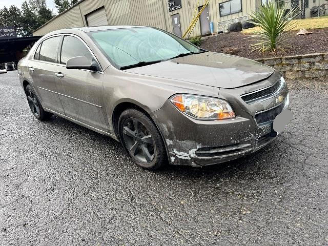CHEVROLET MALIBU 1LT
