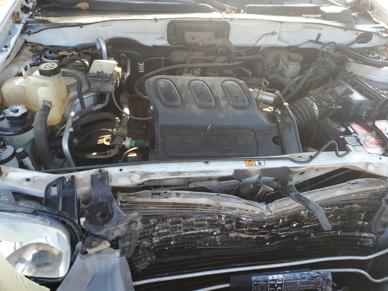 Lot #3301842338 2003 FORD ESCAPE XLT