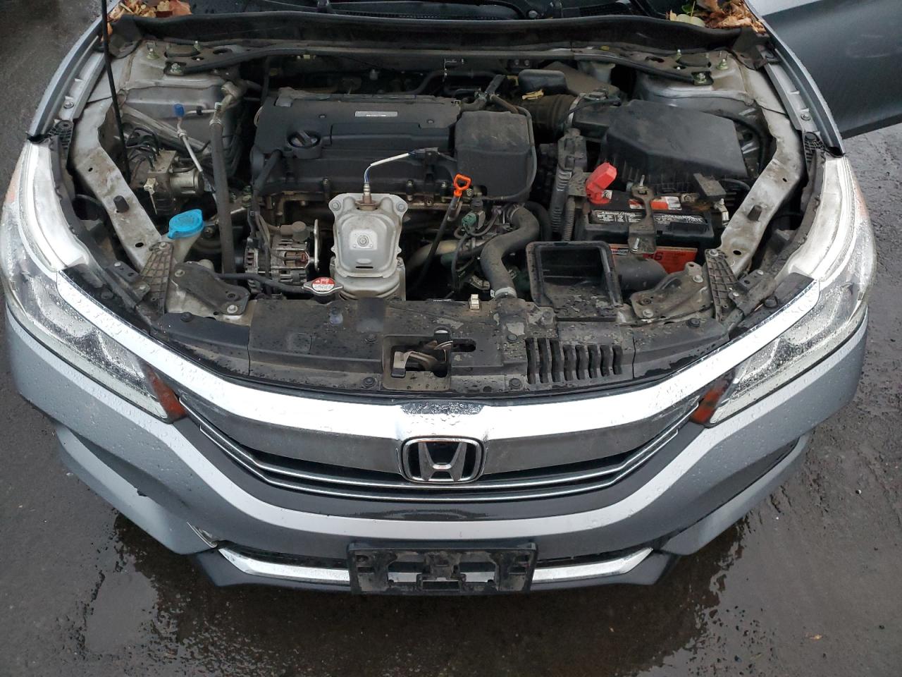 HONDA ACCORD SPORT SPECIAL EDITION