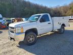 Lot #3309398973 2009 CHEVROLET SILVERADO