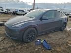 Lot #3303755441 2021 TESLA MODEL Y