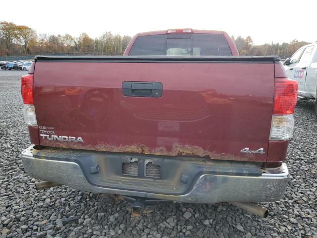 2010 TOYOTA TUNDRA DOU #3296312508
