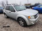 Lot #3305435443 2011 FORD ESCAPE XLT