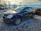 Lot #3311594776 2011 CHEVROLET EQUINOX LS