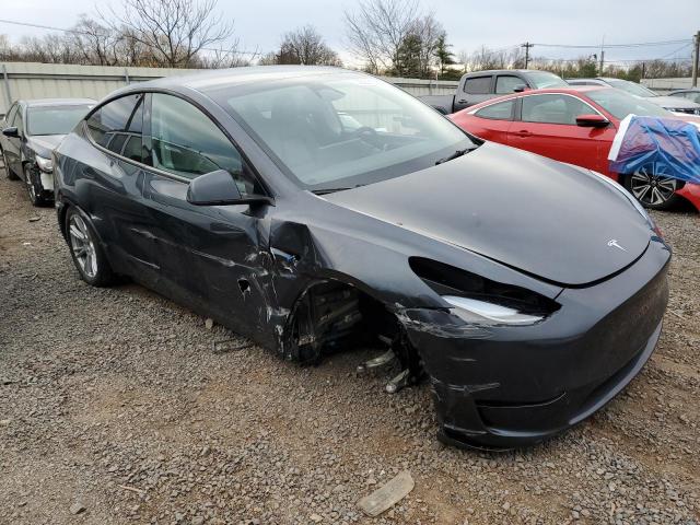 2024 TESLA MODEL Y #3301796346