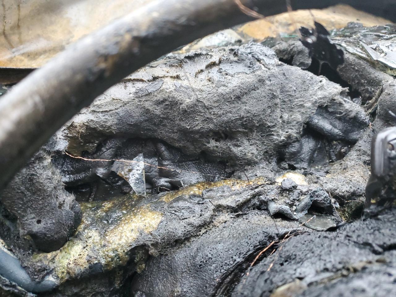 BMW 4 SERIES XI GRAN COUPE SULEV