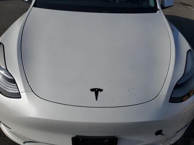 2023 TESLA MODEL Y #3308434277