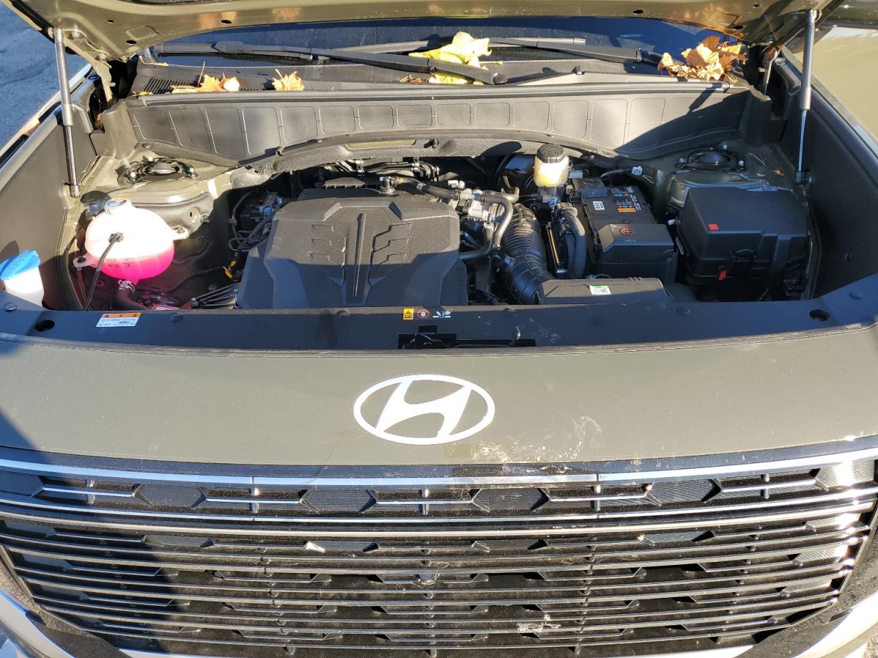 HYUNDAI PALISADE CALLIGRAPHY