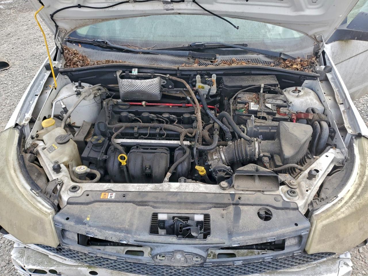 Lot #3302756356 2008 FORD FOCUS SE