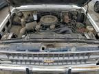 Lot #3296875832 1982 CHEVROLET C10