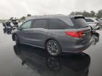 Lot #3311826215 2024 HONDA ODYSSEY EL