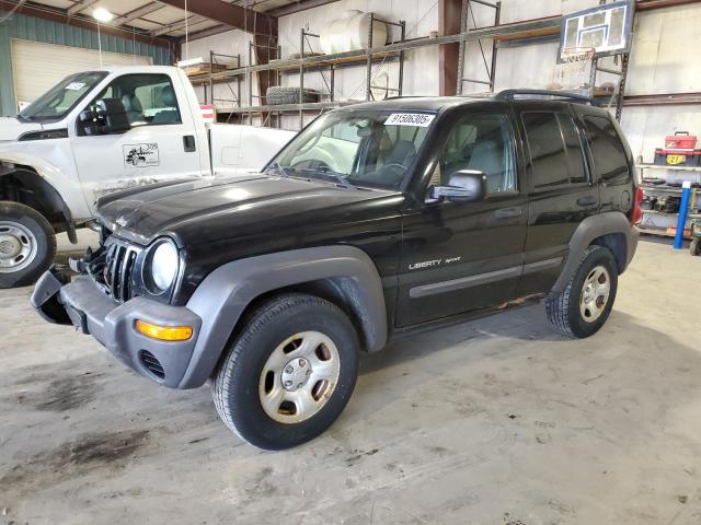 Global Auto Auctions: 2003 JEEP LIBERTY SP