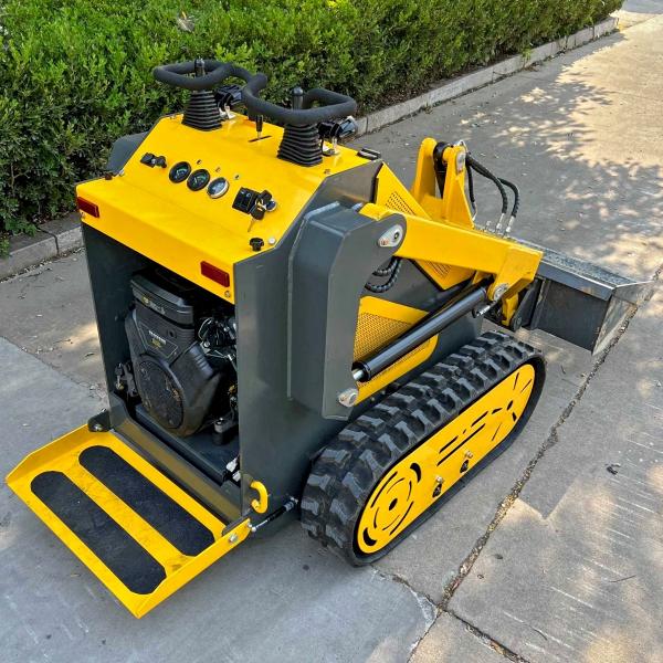 2025 OTHERS OTHER #3302694013