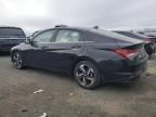 Lot #3316877142 2023 HYUNDAI ELANTRA LI