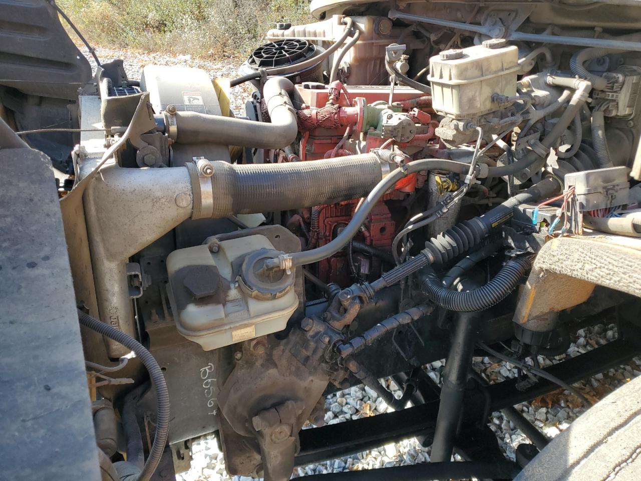 Lot #3291242019 2012 THOMAS SCHOOL BUS