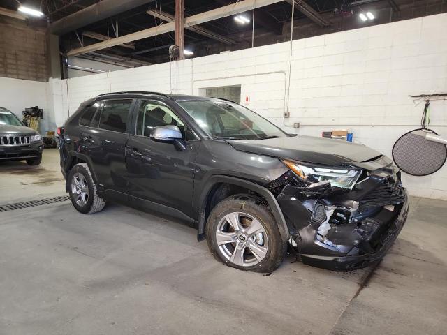 2025 TOYOTA RAV4 XLE #3302804904