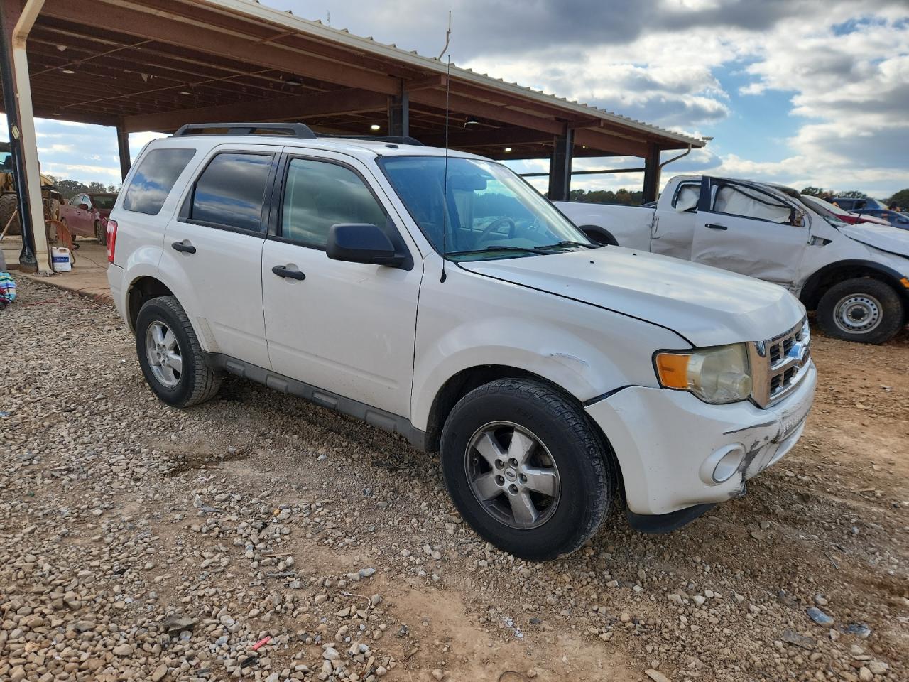 Lot #3284779551 2009 FORD ESCAPE XLT