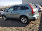 Lot #3317708083 2010 HONDA CR-V EXL