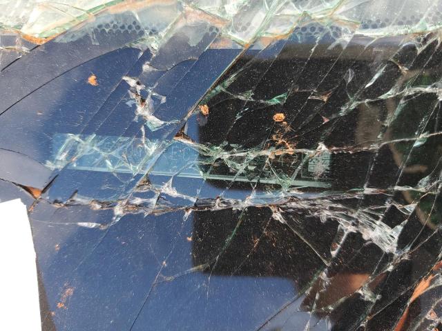 2025 TOYOTA SIENNA XLE #3294282877