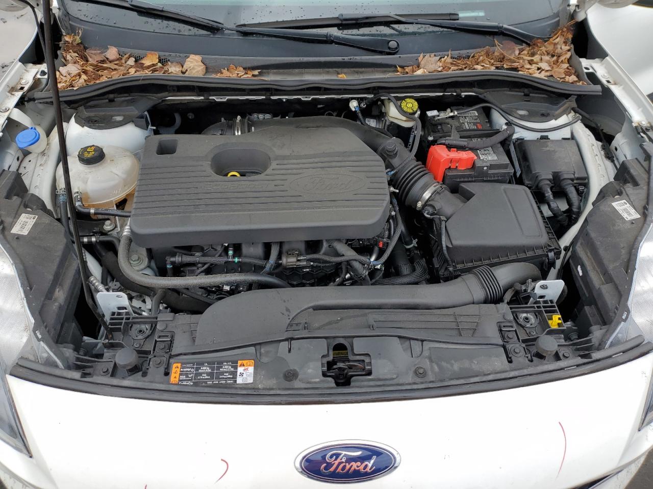 FORD ESCAPE TITANIUM