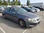 Lot #3304889537 2010 HONDA ACCORD