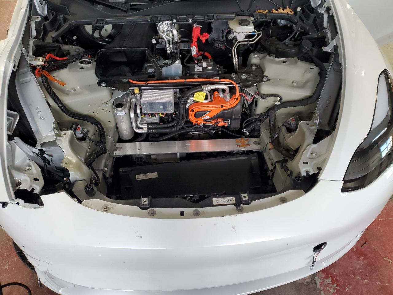 Lot #3302759387 2025 TESLA MODEL Y