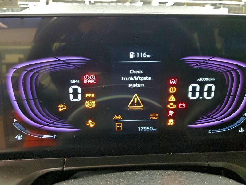 2025 KIA TELLURIDE #3304606454