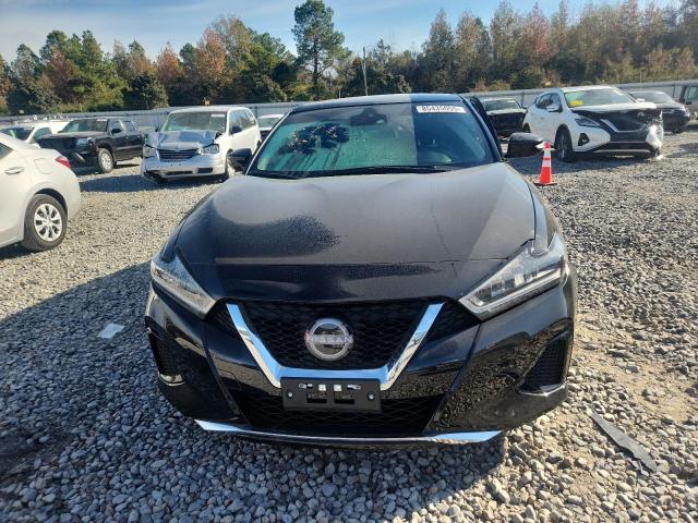 2023 NISSAN MAXIMA SV #3304666911