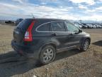 Lot #3296293415 2009 HONDA CR-V EXL